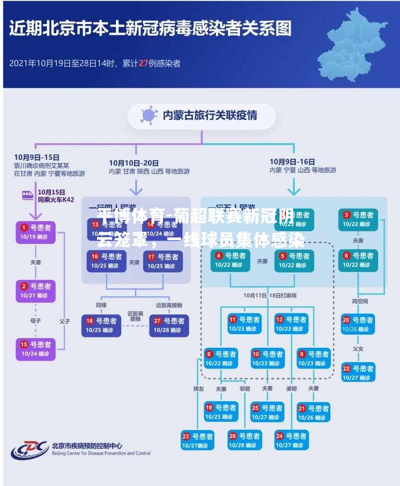 葡超联赛新冠阴云笼罩，一线球员集体感染