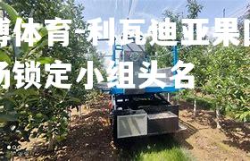 利瓦迪亚果园在主场锁定小组头名